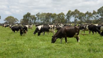 Permalink to: Pasture, Rangeland & Forage Insurance